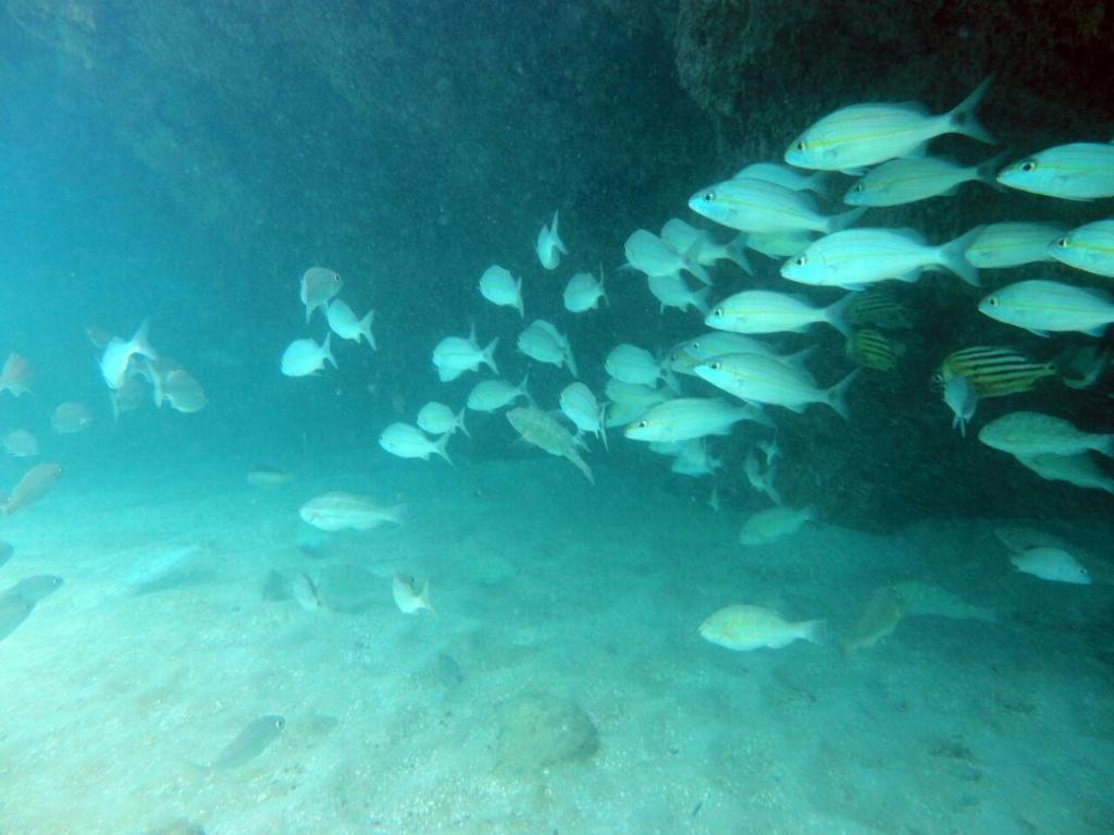 Kitnet Sabrinna Maceió Kültér fotó
